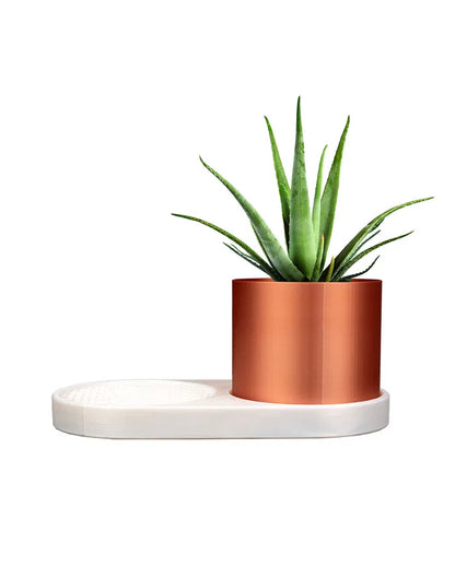 Porta-joias e vaso de plantas VOXEL