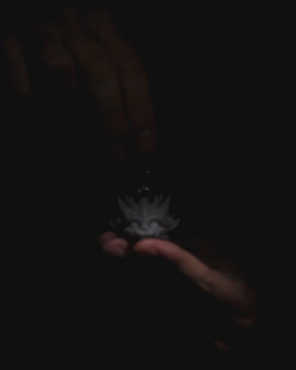 Chaveiro de Dragãozinho